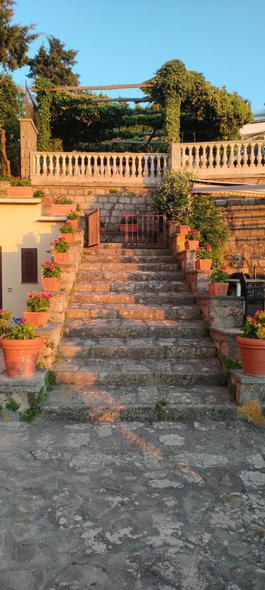 Collywood Villa Piano di Sorrento Dış mekan fotoğraf